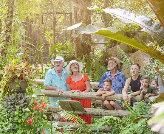 2023-kuranda-luxury-6 a group of people sitting in a garden
