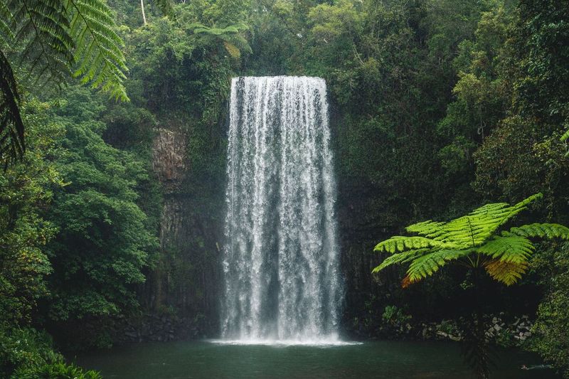 8vcexElQ a large waterfall in a forest