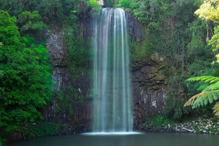 a waterfall surrounded by green leaves