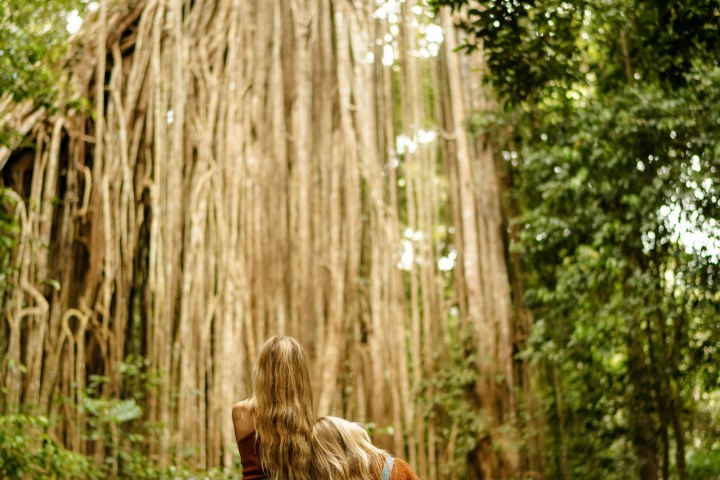a person standing next to a tree