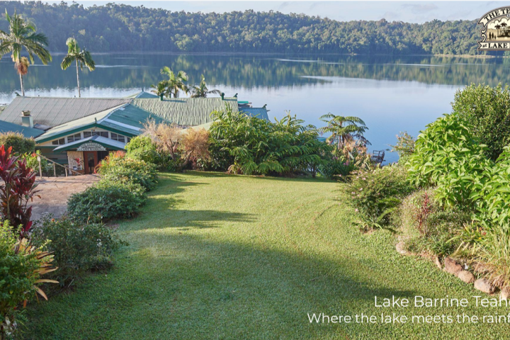 a group of palm trees next to a body of water