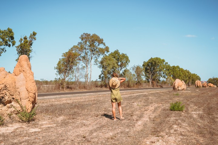 a group of people standing on top of a dirt field