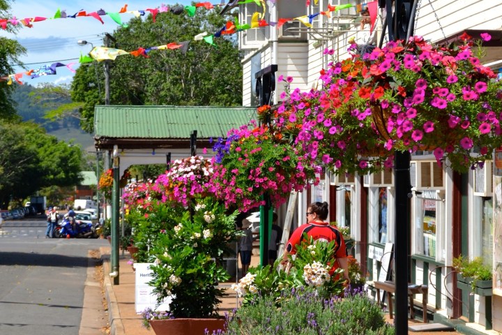 a group of pink flowers on a sidewalk