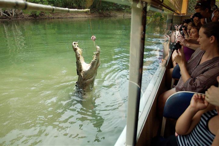 a group of people that are standing in the water