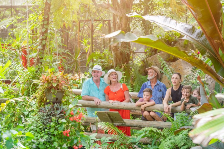 a group of people sitting in a garden