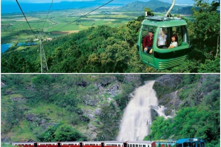 a train traveling down train tracks near a forest