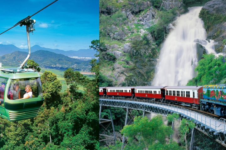 a train traveling down train tracks near a forest