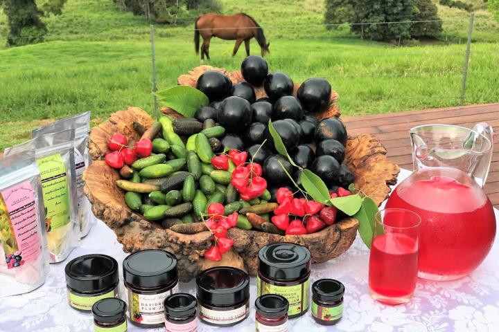 a group of people sitting at a picnic table