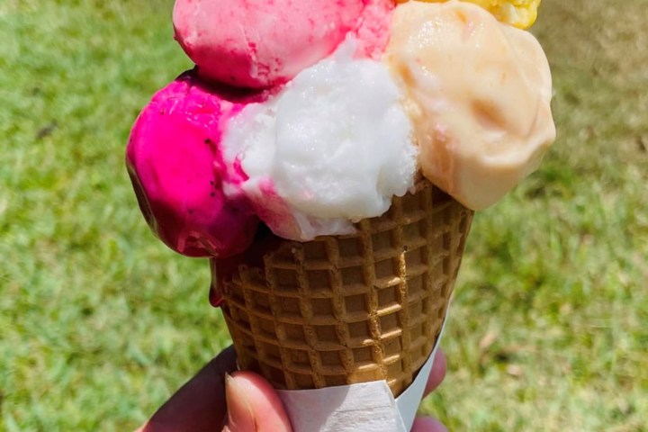 a hand holding a dessert in a field