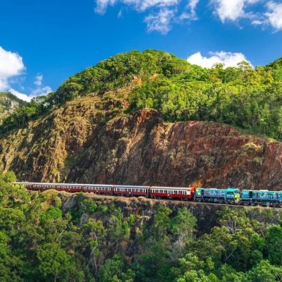a train traveling down train tracks near a forest