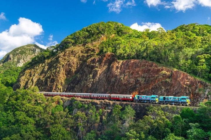 a train traveling down train tracks near a forest