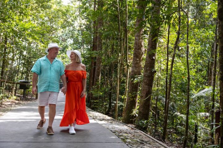 a person walking on a path in the forest