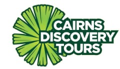 Logo with green palm frond and text 'Cairns Discovery Tours'