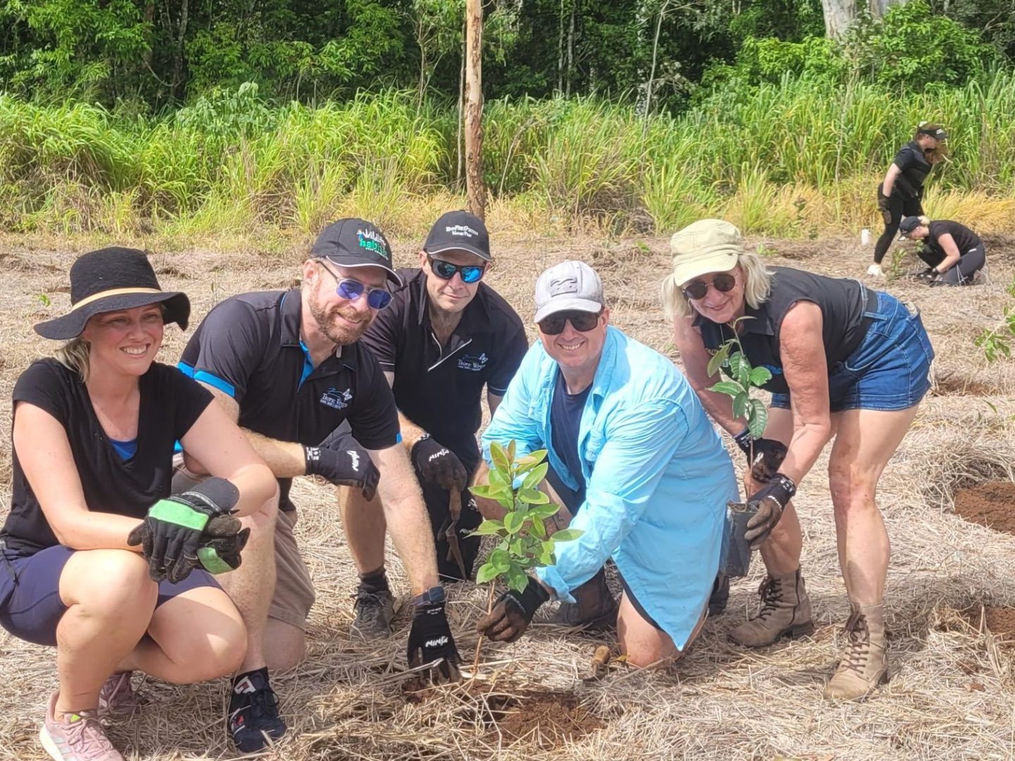Group of people planting saplings in a field next to a forest.